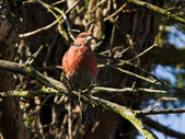 Enlarge photo 18