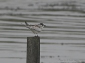 Enlarge photo 1