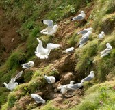 Enlarge photo 14