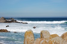 Pacific Grove 2