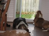 Enlarge photo 6