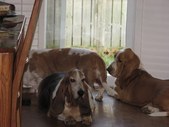 Enlarge photo 9