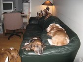 Enlarge photo 14