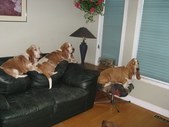 Enlarge photo 59