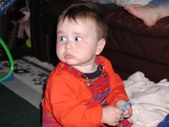 Enlarge photo 186