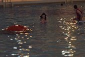 Enlarge photo 105