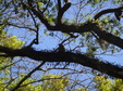 Enlarge photo 25