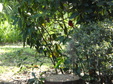 Enlarge photo 28
