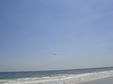 Enlarge photo 35