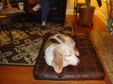 Enlarge photo 44