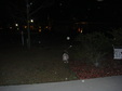 Enlarge photo 49