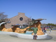 Enlarge photo 52