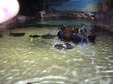 Enlarge photo 54