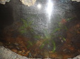 Enlarge photo 55