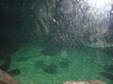 Enlarge photo 56