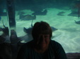 Enlarge photo 59