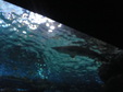 Enlarge photo 64