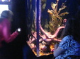Enlarge photo 72