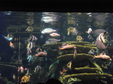 Enlarge photo 78