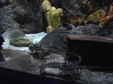 Enlarge photo 81