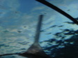 Enlarge photo 88