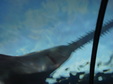 Enlarge photo 89