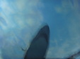 Enlarge photo 90