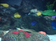 Enlarge photo 102