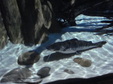 Enlarge photo 108