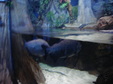 Enlarge photo 110