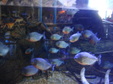 Enlarge photo 112