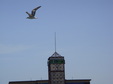 Enlarge photo 116