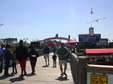 Enlarge photo 119