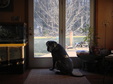 Enlarge photo 138