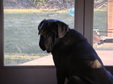 Enlarge photo 139