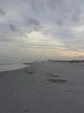 Enlarge photo 43