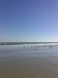 Enlarge photo 35