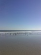 Enlarge photo 36