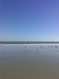Enlarge photo 37