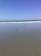 Enlarge photo 39