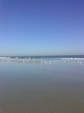 Enlarge photo 40