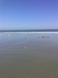 Enlarge photo 41