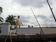 Enlarge photo 104