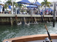 Enlarge photo 103