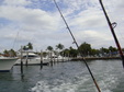 Enlarge photo 102