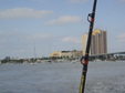 Enlarge photo 97