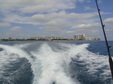 Enlarge photo 95