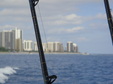 Enlarge photo 93
