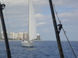Enlarge photo 92