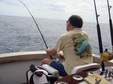 Enlarge photo 91